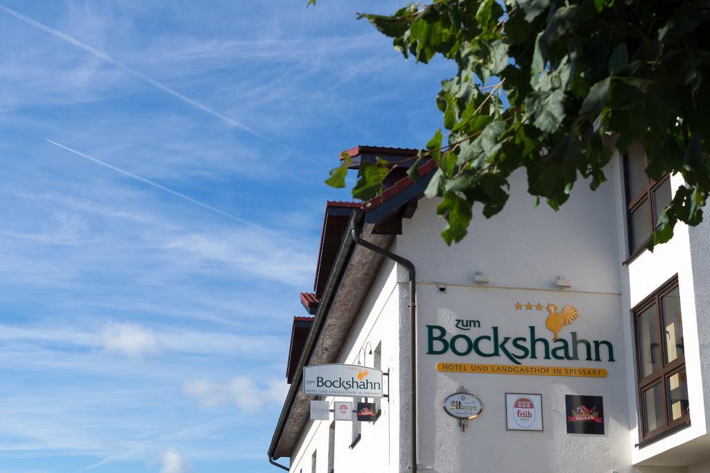 Hotel Und Landgasthof Zum Bockshahn Spessart  Екстер'єр фото