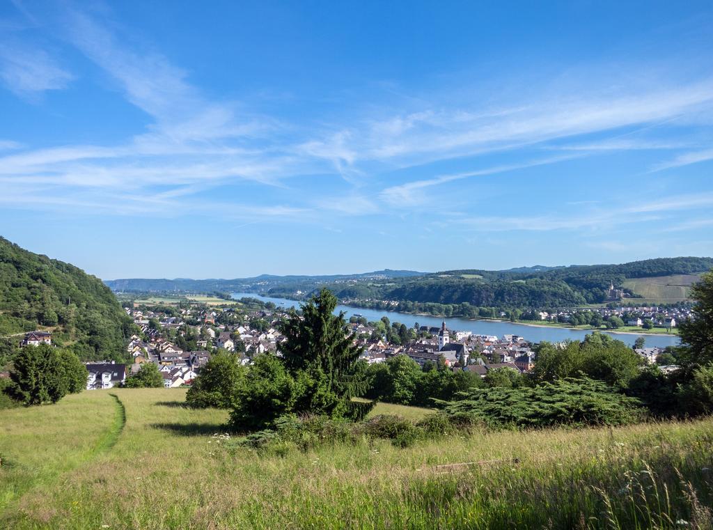 Hotel Und Landgasthof Zum Bockshahn Spessart  Екстер'єр фото