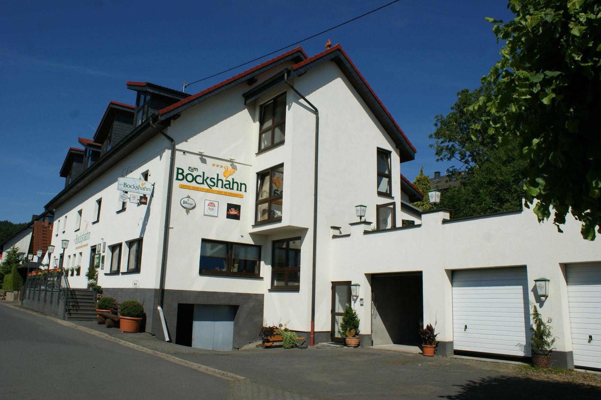 Hotel Und Landgasthof Zum Bockshahn Spessart  Екстер'єр фото